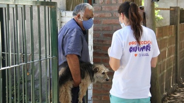 Protección animal: continúa la vacunación y asistencia veterinaria gratuita en los barrios platenses