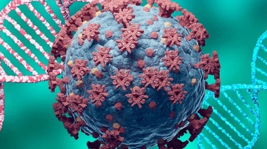 La OMS analiza nueva variante del coronavirus detectada en Colombia