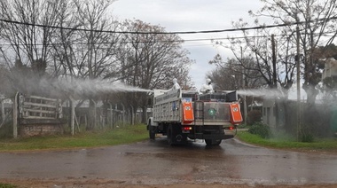 En Pilar, Seguridad desinfectando masivamente y grupos de mujeres trabajando de forma solidaria