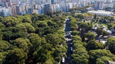 La Ciudad de Buenos Aires lanza Arbopedia, un portal con información exclusiva sobre el arbolado público porteño