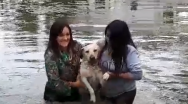 Dos jóvenes platenses tuvieron una actitud heroica al salvar a un perro que se ahogaba en el Parque Saavedra
