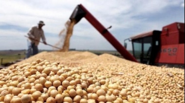 Bajas generalizadas en los precios de los granos en Chicago, impulsadas por informe del USDA