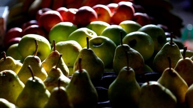 Las exportaciones de peras y manzanas crecieron entre 5% y 6% en siete primeros meses del año