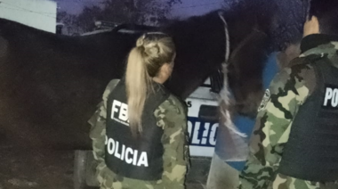Por pedido del Municipio platense, allanan vivienda y rescata a caballo con signos de maltrato
