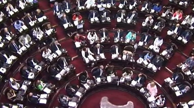 Diputados del oficialismo y la oposición criticaron "las presiones" que reciben a favor y en contra del aborto