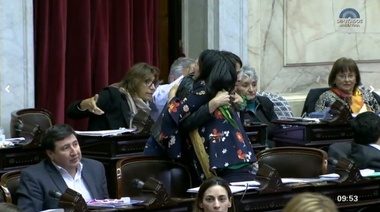 Diputados votó a favor de la legalización del aborto: 129 a 125