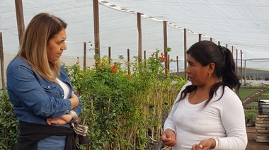 En La Plata, advierten sobre la difícil situación por la que atraviesa el cordón frutihortícola