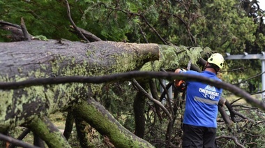 El oeste platense aún sigue sin luz ni agua, después del temporal del viernes