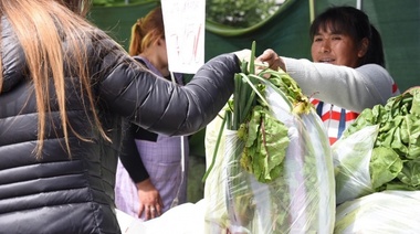 En La Plata, Feria frutihortícola recorrerá distintas zonas de la ciudad ofreciendo productos frescos a precios accesibles