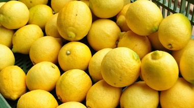 Arribó a China un embarque de limones tucumanos listos para ser comercializados