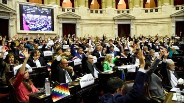 A instancias de la oposición, la Cámara de Diputados repudió el "golpe de Estado en Bolivia"