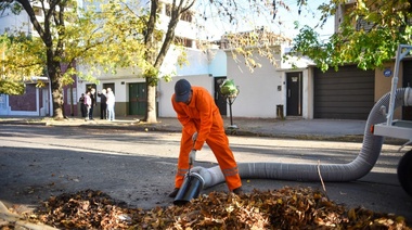 Motor, correas y volcador: así funcionan los nuevos equipos del Municipio de La Plata para reforzar la limpieza de hojarasca