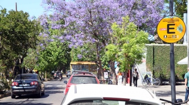 Desde el martes, el Estacionamiento Medido volverá a funcionar en su horario habitual