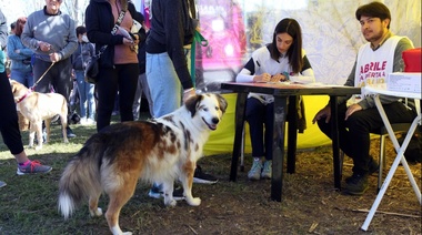 Municipio platense extiende a nuevos barrios de la Ciudad las jornadas veterinarias gratuitas