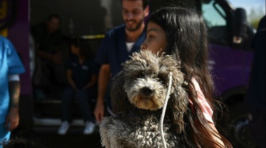 Más jornadas de atención veterinaria gratuita en Los Hornos, San Carlos, El Rincón y otros barrios