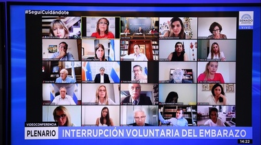 Arrancó en el Senado el debate por la interrupción voluntaria del embarazo