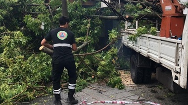 La Municipalidad de La Plata mantiene el monitoreo y lleva adelante operativos de atención y respuesta