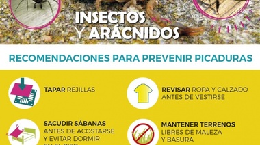 La Plata: El Municipio reitera recomendaciones ante posibles apariciones de alacranes