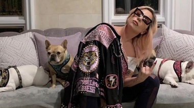 A diez días de recuperar a sus perros, Lady Gaga no paga la recompensa