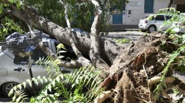 PAMI puso en marcha un comité de crisis para asistir a afiliadas y afiliados en Bahía Blanca