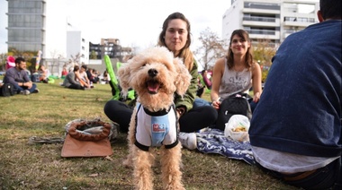 ¿Se agranda la familia? Municipio y rescatistas organizan una feria para fomentar la adopción de perros y gatos