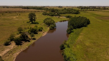 Garro pidió protección para los humedales y puso como ejemplo el arroyo “El Pescado”, en La Plata
