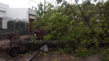 Bahía Blanca: no habrá clases en ningún establecimiento por el temporal que ya tiene a más de cien familias evacuadas