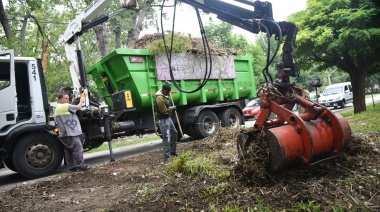 Los Hornos: 18 camiones, tres tractores y más de 50 agentes encararon trabajos de puesta en valor