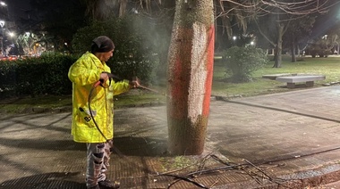 Tras los incidentes, el Municipio encaró junto a los clubes la reparación del Paseo del Bosque