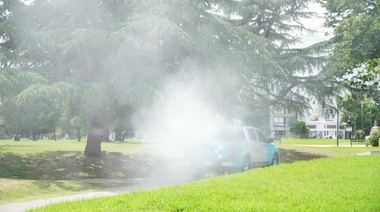 Municipio de La Plata extiende su plan de fumigación en los barrios: el cronograma de este lunes
