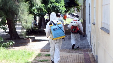 Municipalidad de La Plata acentúa las acciones de fumigación y prevención contra los mosquitos