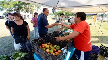 La Plata se prepara para la decimoquinta edición de la tradicional fiesta del tomate platense