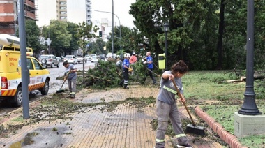 Después del temporal, y aún con lluvias: Más de 200 cuadrillas con 3.000 operarios avanzan con trabajos en espacios públicos de La Plata