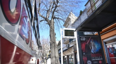 Por trabajos en la estación de trenes, modifican las paradas de micros sobre Avenida 1