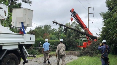 A las 15, EDELAP informó que restituyó el 70 por ciento de los suministros afectados por el temporal de La Plata