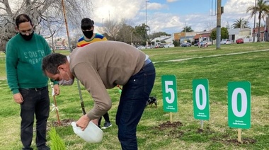 Escudero plantó el árbol 500 con su propuesta "Viví Verde"