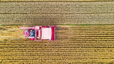 China promete mayores esfuerzos para desarrollar agricultura con instalaciones modernas