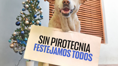 Llaman a no utilizar pirotecnia durante las fiestas de fin de año