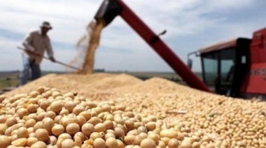La soja retrocedió en Chicago tras 4 jornadas en alza, mientras precios del trigo y el maíz subieron