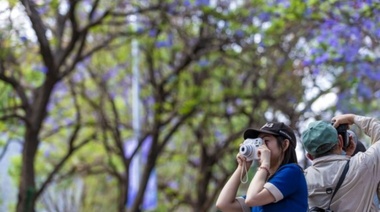 Elogian en Buenos Aires literatura de la ciudad china de Kunming