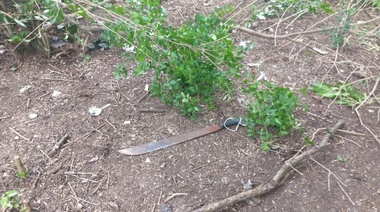 Policías impiden la toma de un terreno en Los Hornos y hay tres detenidos