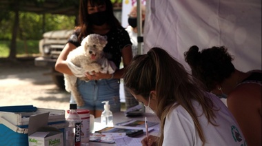 Municipio platense sigue vacunando perros y gatos con jornadas en Gorina, Romero, Los Porteños y el casco