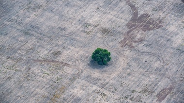 La vida cotidiana: el cambio climático dio otro aviso y no queda más tiempo