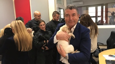 Presentaron a los siete nuevos agentes caninos de la Policía Federal