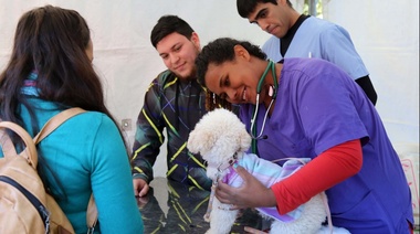 En La Plata avanzan con la creación de un nuevo centro municipal para mascotas y se duplicaron las castraciones