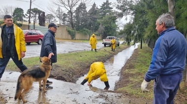 Alerta amarilla: Municipio platense sostiene un amplio operativo de atención y respuesta ante la intensa lluvia registrada