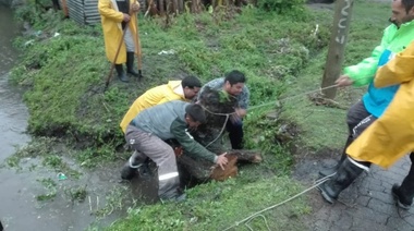 Boicot en Altos de San Lorenzo: Sensores de arroyos evitaron una tragedia