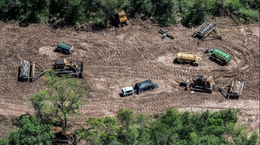 En 2021 se deforestaron más de 110 mil hectáreas en el norte argentino, según informe de Greenpeace