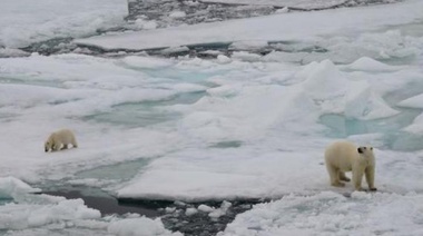 Los glaciares se derritieron a una velocidad récord el último año, según la ONU