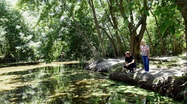 Día de los Humedales: cuáles son los espacios naturales protegidos por el Municipio de La Plata